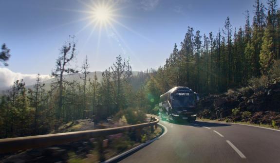 Excursie Teide Tour zonder Kabelbaan