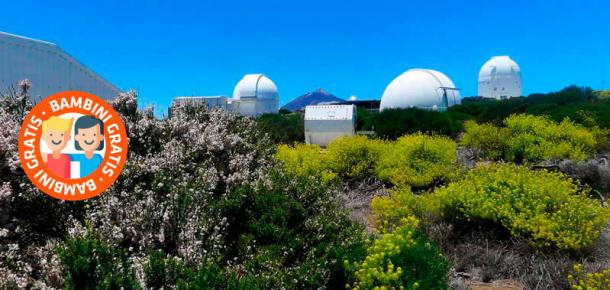 Visita guidata di giorno all’Osservatorio del Teide