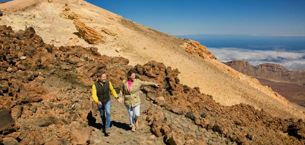 Mount Teide Tour and Cable car ride