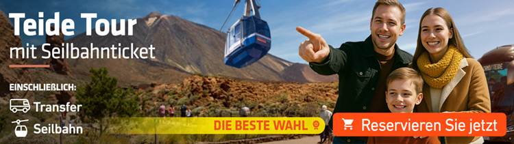 Ausflug Teide Tour mit Teide-Seilbahn